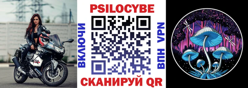 даркнет сайт Ишим Псилоцибиновые грибы прущие грибы